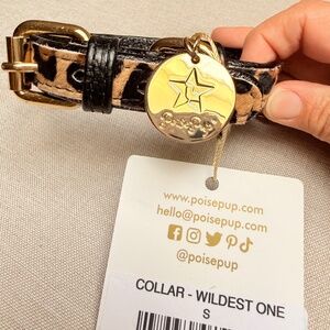 Poise Pup Wildest One Animal Print Collar NWT Size Small